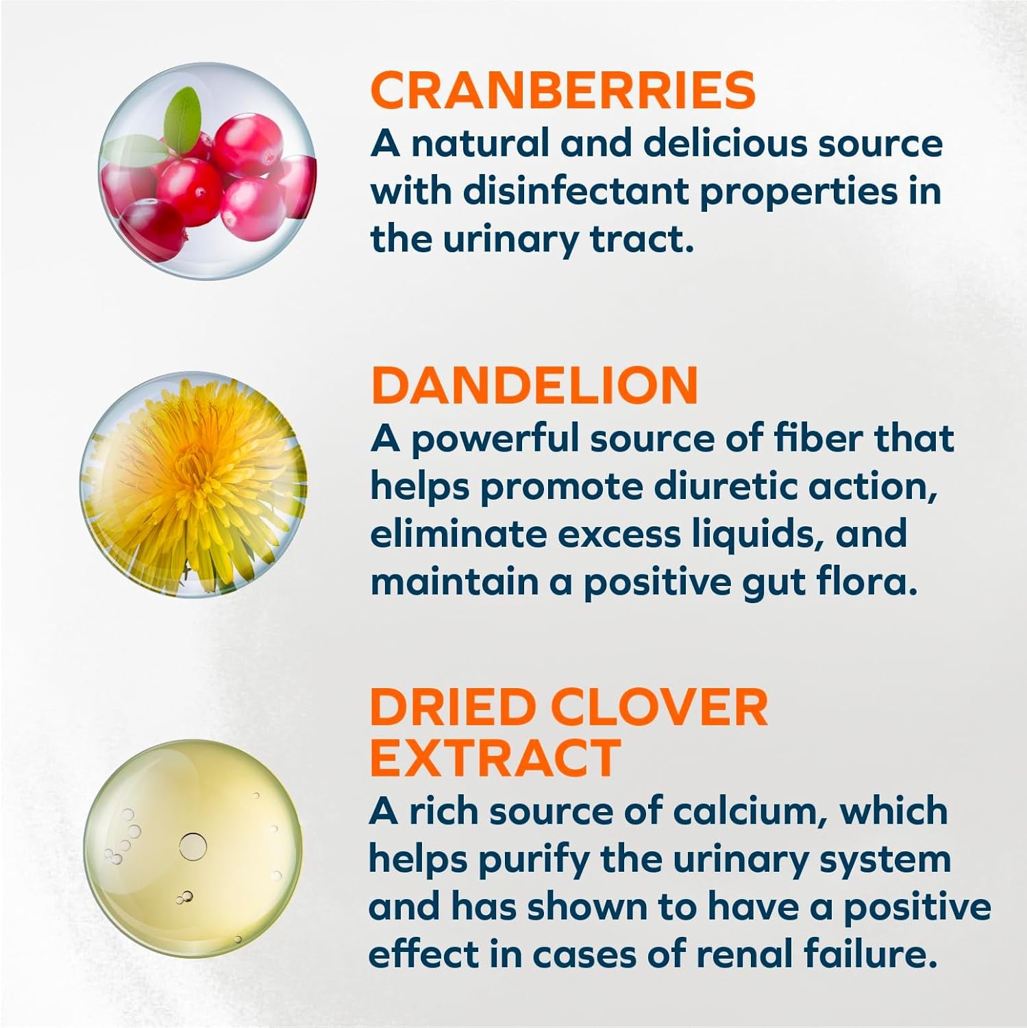 Wet Cat Food Kidney RENAL ACTIWET with Lamb 3.5Oz, Adult Cat Food Wet, Renal Support Canned Cat Food