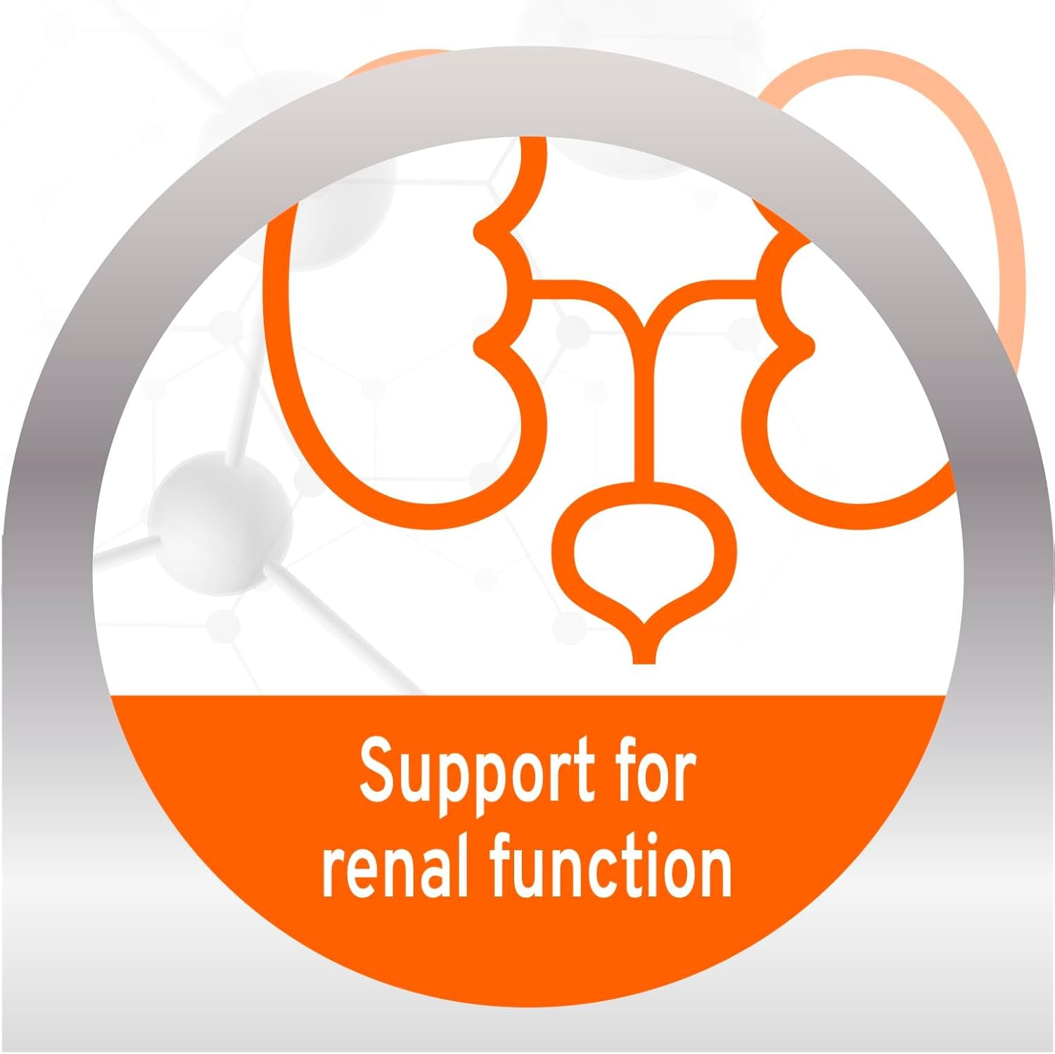 Wet Cat Food Kidney RENAL ACTIWET with Lamb 3.5Oz, Adult Cat Food Wet, Renal Support Canned Cat Food