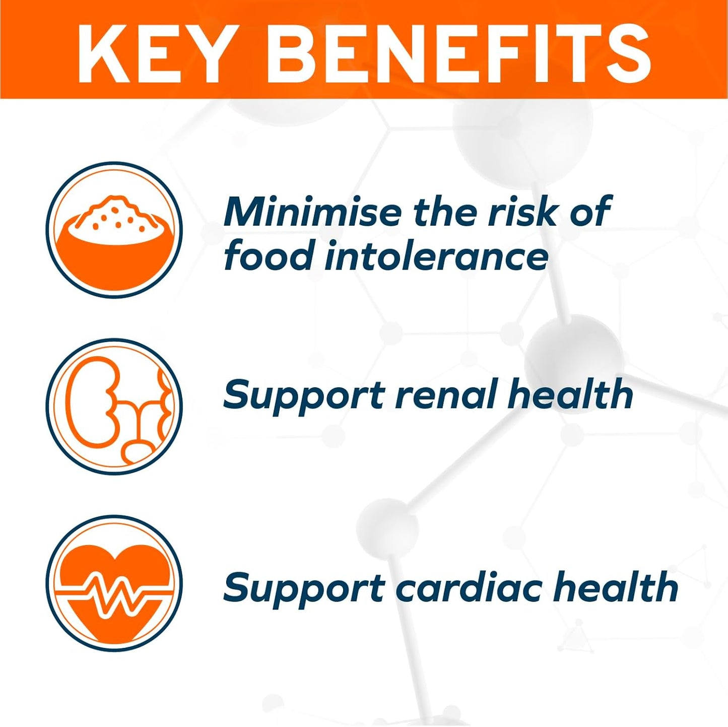 Wet Cat Food Kidney RENAL ACTIWET with Lamb 3.5Oz, Adult Cat Food Wet, Renal Support Canned Cat Food