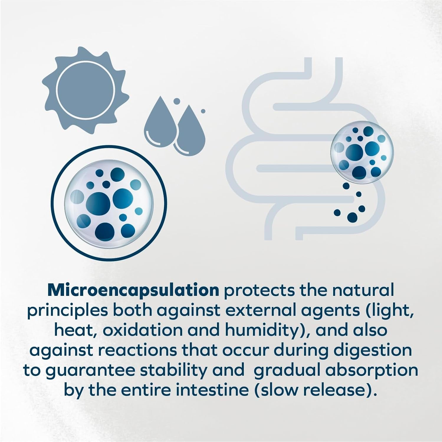 Wet Cat Food Kidney RENAL ACTIWET with Lamb 3.5Oz, Adult Cat Food Wet, Renal Support Canned Cat Food